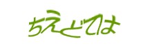 Authentication image